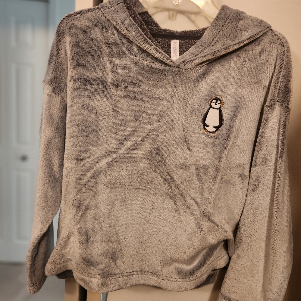 Joyspun Cropped  Women's Gray Velor  Sweatshirt Small, Oversized